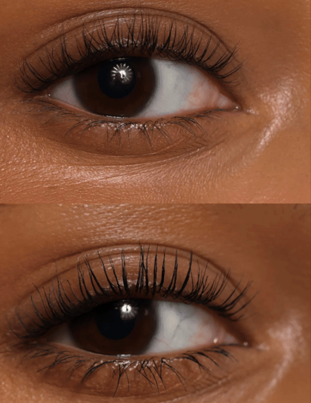 Lash Sculpt