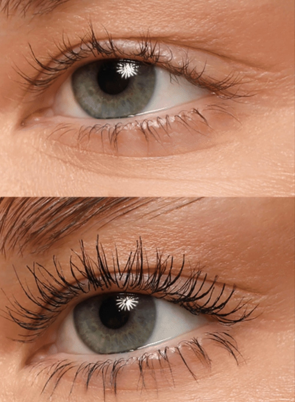 Lash Sculpt