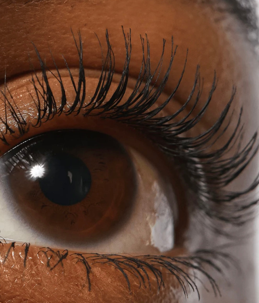 Lash Sculpt