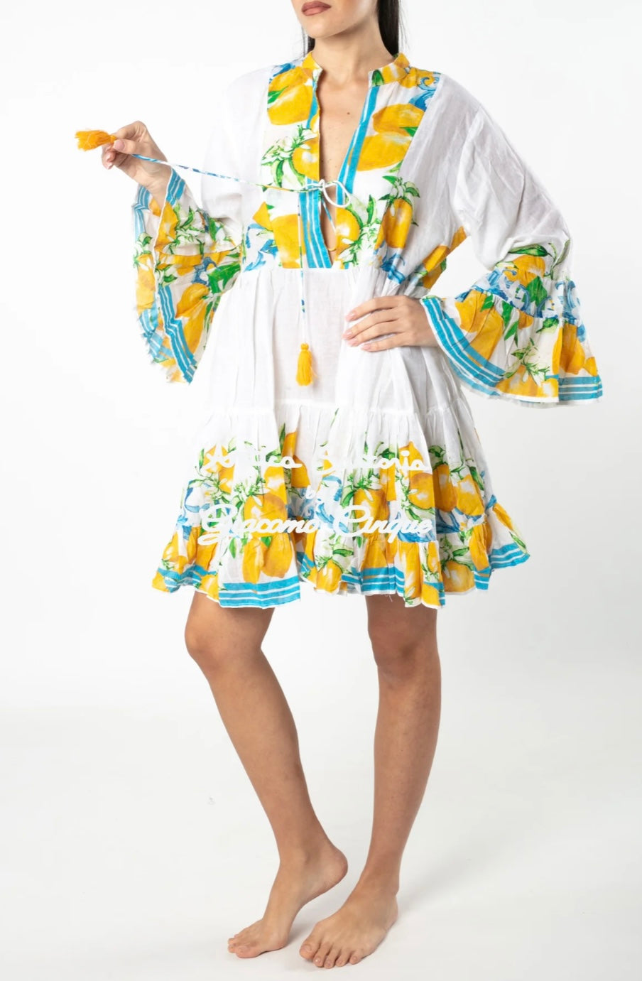 Lemons Coverup